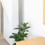 Harokopou Apartmán