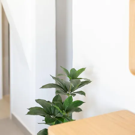 Harokopou Apartamento
