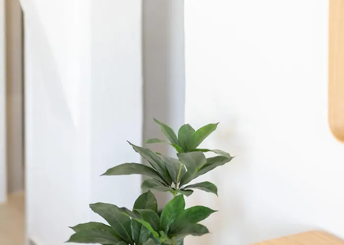 Harokopou アパート